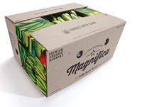 Boîtes en carton pour raisins imprimées en couleur personnalisée - Emballage cadeau pour fruits avec revêtement UV écologique
