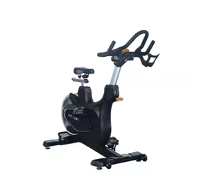 罗森高端钢自行车运动自行车心血管设备与20千克飞轮 - Product Image 1