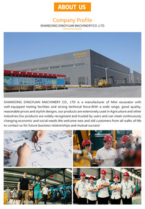 รถขุดขนาดเล็ก SHANDING รุ่น Mini Bagger Crawler ขนาด 1 ตัน 2 ตัน 3.5 ตัน เครื่องยนต์ Kubota มาตรฐาน CE EPA รถขุดขนาดเล็กใหม่ - Product Image 5