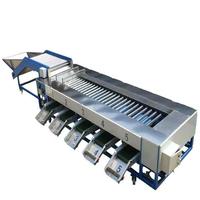 Rollersorteertafel Voor Tomatenaardappel En Kersen Sorteren Roterende Appeltransportsysteem Afscherming Bosbessentransportband