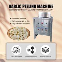 Petite machine à éplucher l'ail compacte avec une capacité de 30 kg/h, processeur multifonctionnel, éplucheur d'ail pour la petite transformation alimentaire