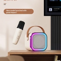 Système de sonorisation sans fil K12 avec microphone et caisson de basses en ABS pour enfants – Idéal comme cadeau