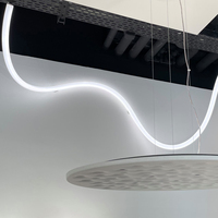 360 degrés IP67 étanche rvb LED néon télécommande Silicone Flex pendentif couleur changeante corde lumières lustres Genre