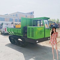 Fabrikpreis Diesel Mini-Raupendumper Hydraulischer Dumper Raupenlader zum Verkauf