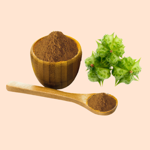 天然有機トリブルステレストリス果実エキスPE 45% サポニンバルクトリブルステレストリスエキス粉末 - Product Image 3