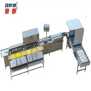 Máquina clasificadora de huevos de clasificación electrónica automática a buen precio Zenyer 104B a la venta