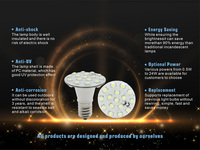 Ampoules LED Cabochon E14/E10 pour Décorations Extérieures 60V/24V Lumières à Point d'Amusement