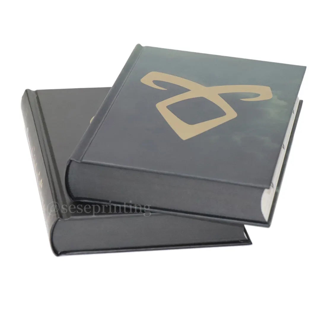 China Manufacturer Well Designed Custom Glossy Finish Hardcover Book Printing History Art Book Printing Full Color