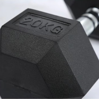 Dumbbell Hexagonal 30kg Berlapis Karet Besi Cor Anti-Selip Cepat Kering Pegangan Knurling Latihan Seluruh Tubuh Home Gym Latihan Kekuatan