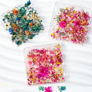 Flores Secas Prensadas Naturales para Decoración de Uñas, Manualidades - Product Image 6