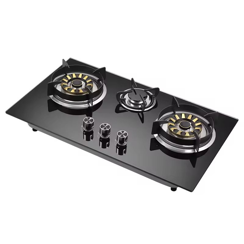 Kitchen Cooking Stainless Steel Gas Stove