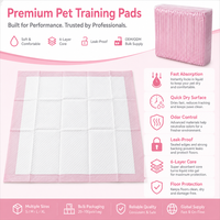 Protège-tapis jetables épaissis pour animaux de compagnie, absorbants et anti-fuites, pour l'apprentissage de la propreté des petits animaux