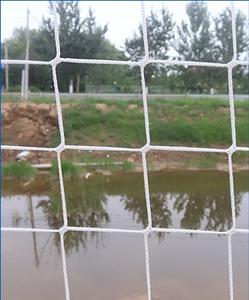 Hdpe Anti-Vogelgaas Voor Landbouw UV-Plastic Zeefgaas Om Gewassen Te Beschermen Druiven Op Maat Snijden Beschikbaar - Product Image 3