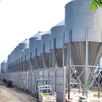 Silo de stockage d'aliments galvanisé, tour de stockage de céréales pour l'élevage de porcs, de poulets et de volailles, équipement d'alimentation automatique pour l'élevage