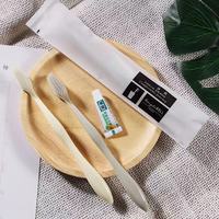Service tout-en-un pour voyages et hôtels, prix compétitif, articles de toilette jetables de luxe 5 étoiles, trousse de toilette