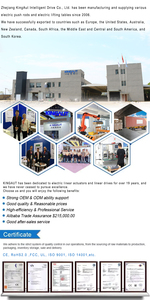 2000n tuyến tính điện Thiết bị truyền động cho máy móc công nghiệp, 12V/24V DC Thiết bị truyền động điện cho thiết bị xây dựng - Product Image 6