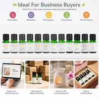 Coffret Cadeau d'Huiles Essentielles Pures 15ml, Emballage Personnalisé, Marque Privée, OEM en Gros pour Projets de Coffrets Cadeaux