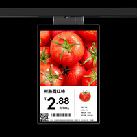 Affichage numérique intelligent Écran LCD 10,1 pouces Simple face Double face Prix promotionnel pour les étiquettes de rayon électroniques