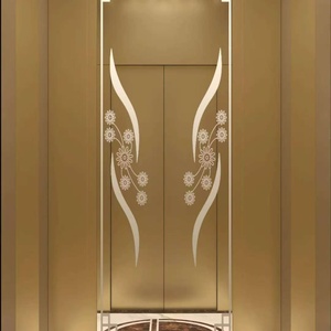 Ascenseur de passagers de conception contemporaine de haute qualité, entraînement AC stable à prix raisonnable - Product Image 3