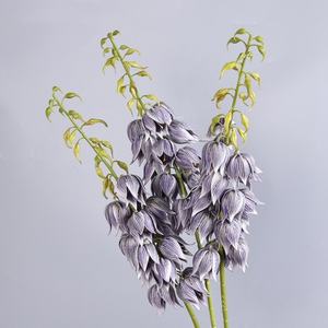 Flores de <span class=keywords><strong>Campanula</strong></span> Rosa de 98 cm en Campanilla Artificial de PU para Arreglos Florales, Decoración Navideña del Hogar y Bodas - Product Image 2