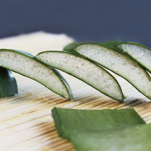 Chiết Xuất Lô Hội, Gel Lô Hội Hòa Tan Trong Nước 100% 100:1 200:1 Bột Đông Khô Lô Hội Bột Đông Khô Lô Hội - Product Image 5