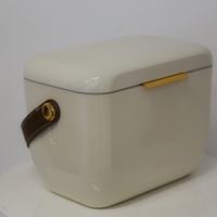 Sangle d'épaule, glacière mini 6L CC, peinture haute brillance, style tendance, boîte à glace pour aliments, canettes, boissons, lait, gâteaux