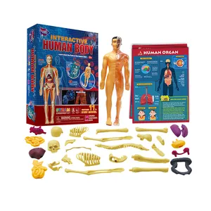 Интерактивный набор для анатомии человеческого тела, наборы для научных экспериментов, стебель-игрушки для детей от 8 +, Школьный набор для обучения науке