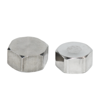 DKV 304 Capuchon hexagonal en acier inoxydable Filetage femelle ASME DIN JIS BS BSP Capuchon hexagonal fileté NPT 150 # Capuchon hexagonal fileté