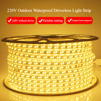 Lampu Strip LED 220V High Lumen Luz 5730 Baris Ganda 120LED 100m/Roll IP67 Tahan Air Pencahayaan Lanskap Luar Ruangan Merah Biru Hijau