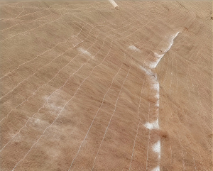 Nete Dừa Xơ xơ dừa hiện đại thoát nước dam đất bảo tồn Mat & chăn 2-năm bảo hành 24-trong Chiều rộng cho nhà máy Hạt Giống Cỏ - Product Image 4