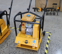 Compacteur à plaque vibrant essence/diesel 6,5 CV 22KN pour la construction routière, fabriqué en Chine