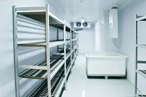 Chambre Froide, большие холодильные камеры для мяса, прогулка в морозильной камере