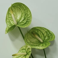 Sentuhan asli Anthuriums tunggal PU bunga sutra buatan sentuhan asli Anthuriums untuk Natal pernikahan Paskah Hari Valentine