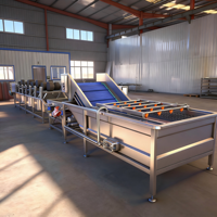 Avocado Kokosnoot Ananas Fruit Groente Was- en Verwerkingsmachine met Sterilisatie Continue Transport Multifunctioneel
