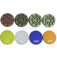 PanGu PG OEM ODM Chine Haute Qualité 3 Pouces Résine Diamantée Fine Granulométrie 50 # -3000 #   Disques de polissage en béton pour ponceuse à sol