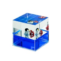 Boule à neige 3D en polyrésine plastique acrylique liquide mouvement cubique presse-papiers Art bureau ornement décor cadeaux Souvenirs