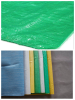 Sacs en raphia de polypropylène vierge 100% coloré, sacs tubulaires tissés en PP, petits sacs, sacs vides à vendre