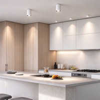 Fournisseur de produits : Plafonnier encastré à spectre complet, lampe LED à couleur réglable pour l'éclairage des hôtels, bureaux, studios et salons