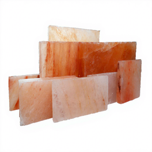 Himalayan Pink Rock <b>Crystal</b> Bricks 2x4x8 inch Solid Porosity Firebricks Natural Wellness Interior Decor Tiles and Rocks - Product Image 1