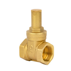 OEM 1/2 - 2 pouces robinet à eau en laiton double verrouillage clé vanne à vanne manettes serrure NPT BSP filetage MIHA marque CW617N - Product Image 3