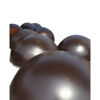 Dômes extérieurs en acier inoxydable 304 de 1800 mm