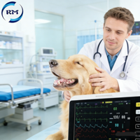 Moniteur de signes vitaux vétérinaires multiparamètres Etco2 SPo2 NIBP, appareil de surveillance des animaux, moniteur patient portable