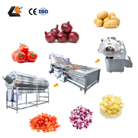 Offre Spéciale : Machine à Éplucher le Gingembre et les Racines de Lotus, Éplucheur de Légumes, Laveuse de Tomates, Coupe-Légumes en Cubes, Ligne de Traitement des Carottes