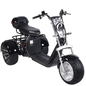 Lingte X330 fabrika büyük boy 60V 2000W 3000W güçlü Motor 2 koltuk elektrikli Citycoco 3 tekerlekli Scooter yetişkinler için elektrikli Trike