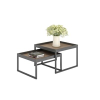 Meubles de salon modernes et peu encombrants, table à thé double à structure métallique, ensemble de tables basses gigognes, écologiques et durables pour hôtel