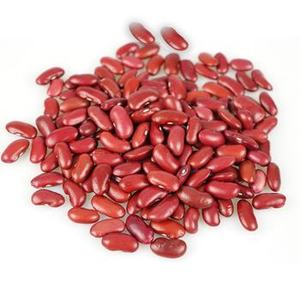 Yeni kırpma üst gdo içermeyen % 100% organik zengin Protein kurutulmuş büyük barbunya - Product Image 6