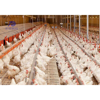 Petit bâtiment de structure métallique de poulailler de ferme de poulailler pour 5000 poulets