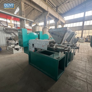 Prensa de Aceite Automática Olive Tech de 300-400 kg/hora para Soja, Cacahuete y Sésamo, Filtro para Aceite de Oliva y Nuez, Alto Rendimiento, Acero Inoxidable - Product Image 1
