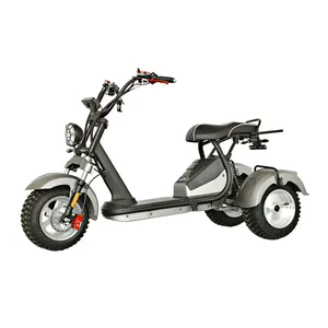 Üç tekerlekli sallanan off-Road tekerlekler uygun dağ elektrikli motosiklet 4000W (çift 2000W) EEC