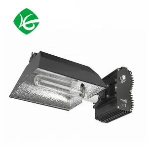 Slanke Desgin Schakelbare Dimmen Hid 600 Watt Hps Groeien Licht Kit